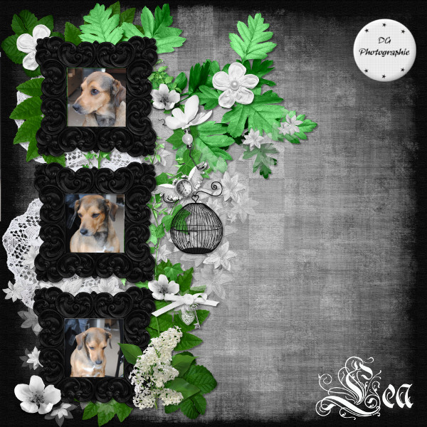 page de scrap 2013