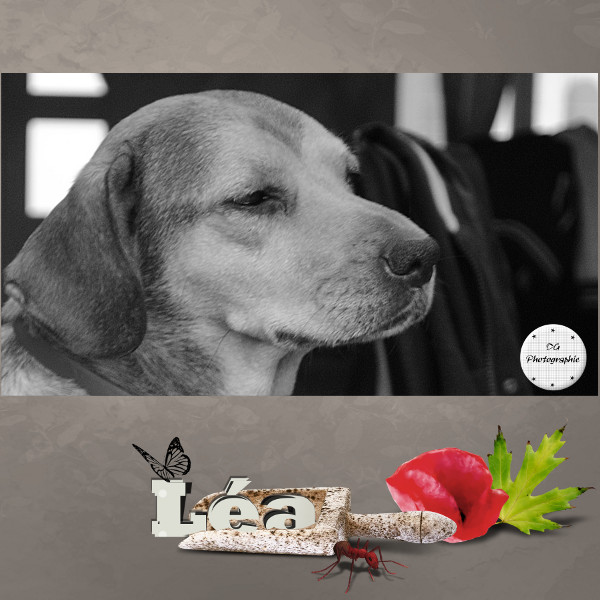 page de scrap 2013