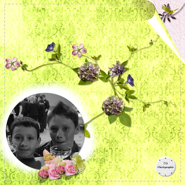 page de scrap 2013