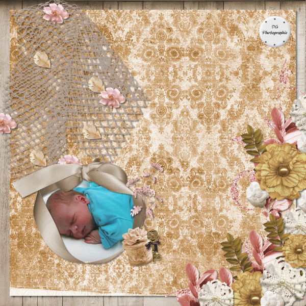 page de scrap 2013